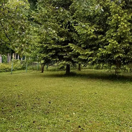 Mahala Rakovica * Bozici (Fojnica)